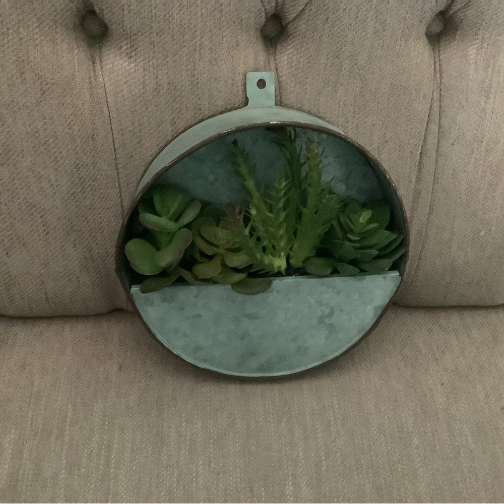 Two faux succulent hangers 💚💚